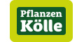 Zum Pflanzen Kölle Gutschein