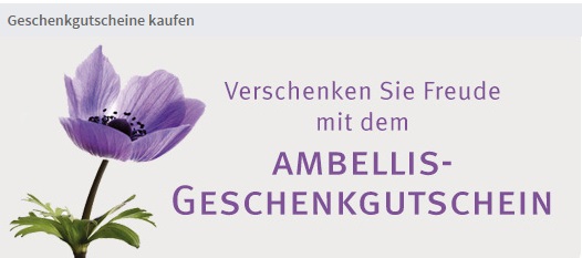 Ambellis Gutschein
