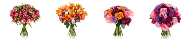 Miflora Sortiment