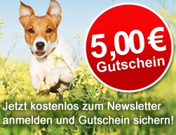 Schecker Newsletter