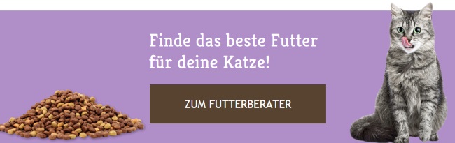 Katzenland Futterberater