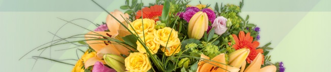 Lidl Blumen Image