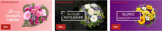 Lidl Blumen Sortiment