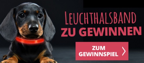 Pets Premium Gewinnspiele