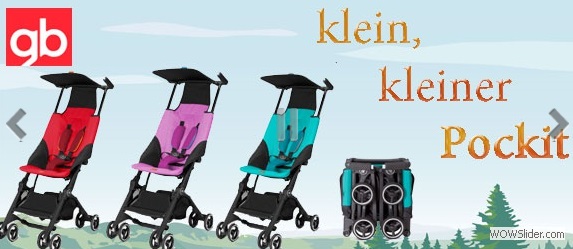 Maxis Babywelt Kinderwagen