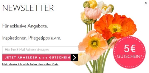 BLOOMY DAYS Gutschein Newsletter