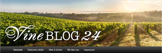 VineShop24 Blog