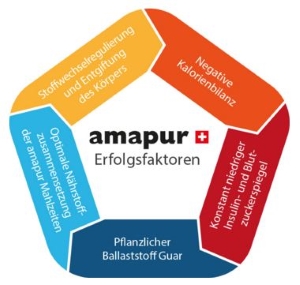 Amapur Prinzip
