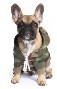 OnePiece für Hunde