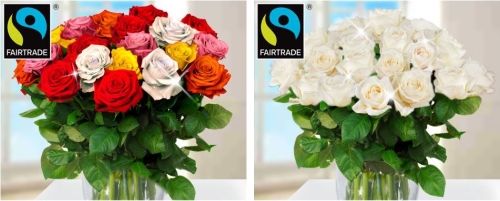 123 Blumenversand Rosen Fairtrade