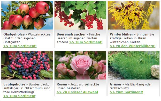 ᐅ Garten Schluter Gutschein Marz 2020 12 Codes
