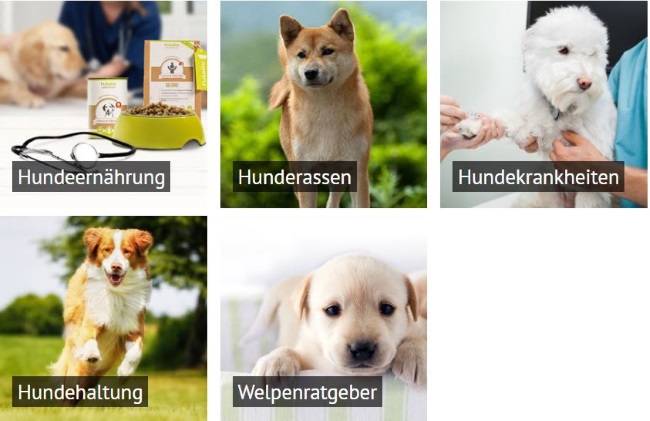 futalis-hunderatgeber