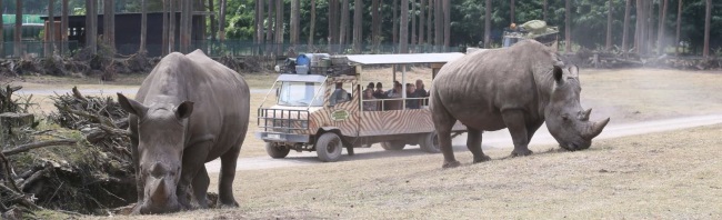 Serengeti Park Safari