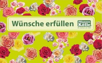 ᐅ Pflanzen Kolle Gutschein Marz 2020 12 Codes